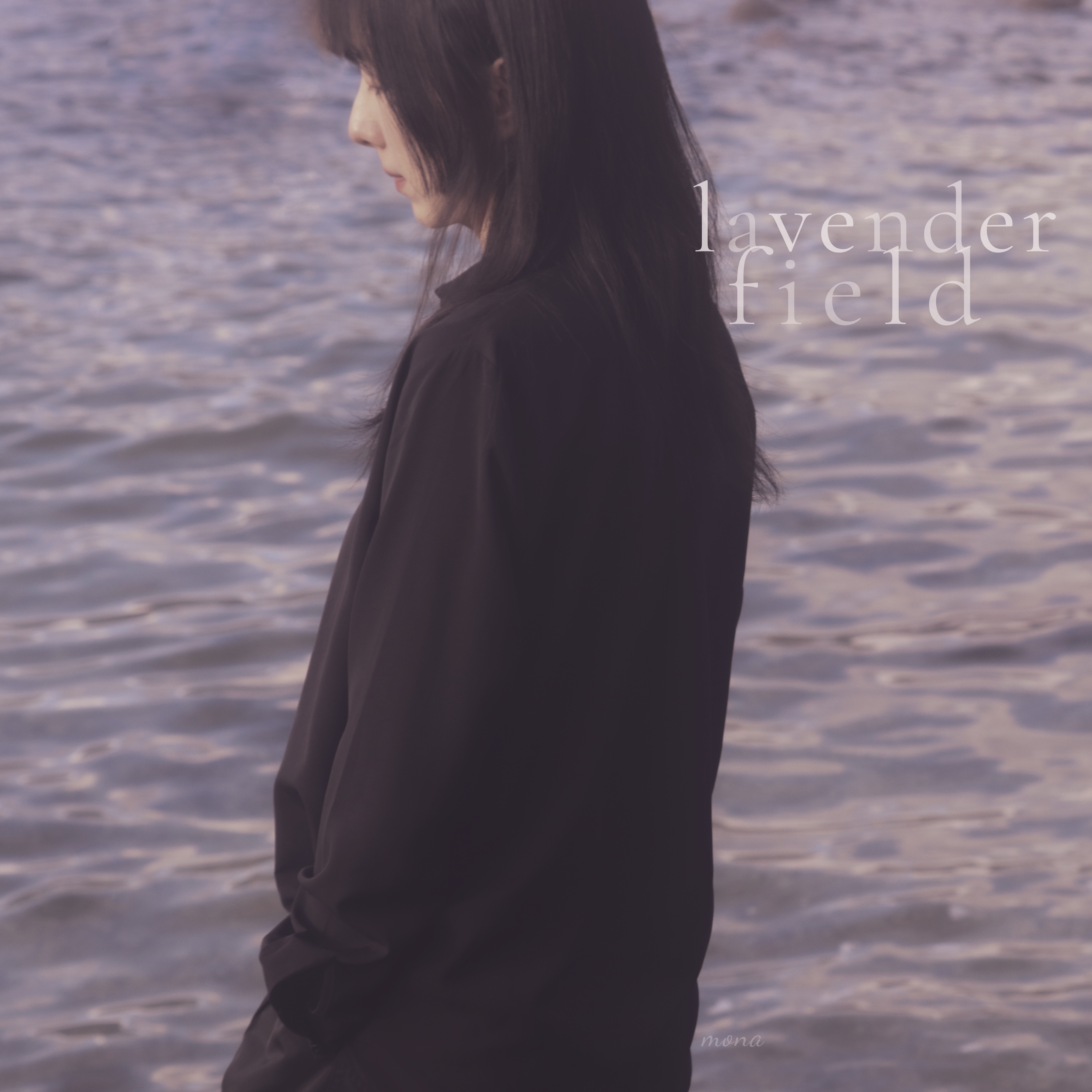lavender field 앨범 커버